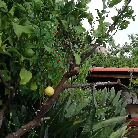 Διαμέρισμα Maison Trucchi *