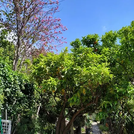 Lägenhet Maison Trucchi *