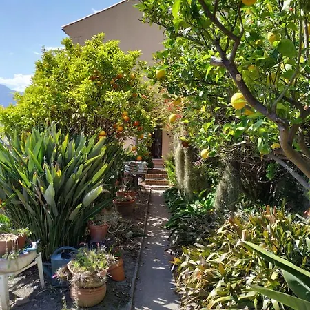 Maison Trucchi Διαμέρισμα