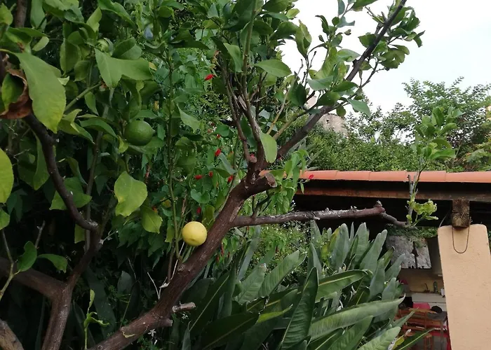 דירה Maison Trucchi *