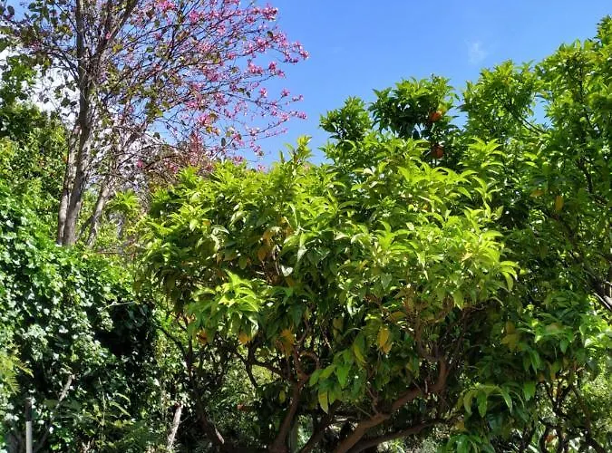 Apartamento Maison Trucchi *